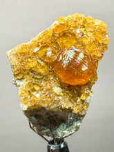 Load image into Gallery viewer, Hessonite Garnet Cluster on Matrix – Natural Collector Specimen from Pakistan | High-Grade Orange-Red Garnet Crystals

