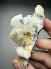 Load image into Gallery viewer, Moroccan Ram’s Horn Selenite (Gypsum) Crystal Display Specimen
