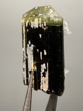 Load image into Gallery viewer, Green Cap Stak Nala Tourmaline with Cleavelandite – Haramosh Mountains, Pakistan | Thumbnail Specimen
