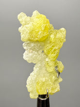 Load image into Gallery viewer, Vibrant Yellow Brucite Thumbnail Mineral Specimen | Collector Crystal from Killa Saifullah District in Balochistan Province, Pakistan
