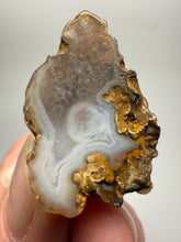 Load image into Gallery viewer, Lot of 4 Small Malawi Agate Halves – Polished Rare Colorful Collector Specimens
