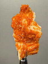 Load image into Gallery viewer, Natural Vanadinite on Matrix | Collector Mineral Specimen | Morocco
