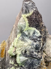 Load image into Gallery viewer, High-Grade Green Wavellite Collectors Specimen - Radiating Botryoidal Crystal Formation - Arkansas, USA
