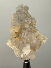 Load image into Gallery viewer, Blue-Green Chrysocolla in Botryoidal Chalcedony Cabinet Specimen | Indonesia
