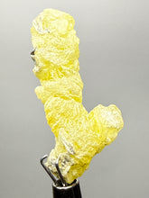 Load image into Gallery viewer, Vibrant Yellow Brucite Thumbnail Mineral Specimen | Collector Crystal from Killa Saifullah District in Balochistan Province, Pakistan
