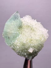 Load image into Gallery viewer, Luminous Mint Apophyllite with Glittering Druzy Sugar Quartz – India
