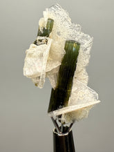 Load image into Gallery viewer, Green Cap Stak Nala Tourmaline with Cleavelandite – Haramosh Mountains, Pakistan | Thumbnail Specimen

