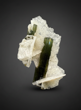 Load image into Gallery viewer, Green Cap Stak Nala Tourmaline with Cleavelandite – Haramosh Mountains, Pakistan | Thumbnail Specimen
