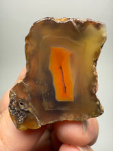 Load image into Gallery viewer, Lot of 9 Small Malawi Agate Halves – Polished Rare Colorful Collector Specimens
