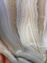 Load image into Gallery viewer, Moroccan Cream Banded Agate Sahara | High Atlas | Polished
