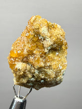 Load image into Gallery viewer, Hessonite Garnet Cluster on Matrix – Natural Collector Specimen from Pakistan | High-Grade Orange-Red Garnet Crystals
