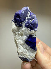 Load image into Gallery viewer, Afghan Lazurite Specimen | Deep Blue Lapis-Grade Crystal on Matrix | Collector Display Mineral

