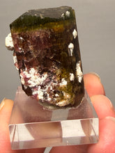 Load image into Gallery viewer, Tri-Color Tourmaline with Feldspar Mineral Specimen – Pakistan
