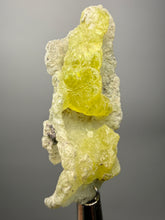 Load image into Gallery viewer, Vibrant Yellow Brucite Thumbnail Mineral Specimen | Collector Crystal from Killa Saifullah District in Balochistan Province, Pakistan
