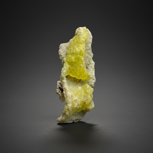Load image into Gallery viewer, Vibrant Yellow Brucite Thumbnail Mineral Specimen | Collector Crystal from Killa Saifullah District in Balochistan Province, Pakistan

