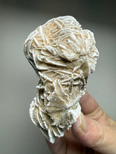 Load image into Gallery viewer, Desert Rose Selenite (Gypsum) — Mineral Display Specimen | Mexico
