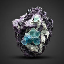 Load image into Gallery viewer, High-Grade Rare Purple-Green-Blue Cubic Fluorite | Cabinet Mineral Collector Specimen | Zhejiang Province, China
