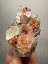Load image into Gallery viewer, Rare Red + Green Apophyllite Crystal Cluster – High Grade Collector Mineral Specimen | India
