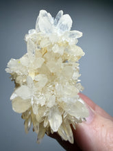 Load image into Gallery viewer, High-Grade Coral Aragonite Crystal Specimen – Wenshan Mine, Yunnan, China
