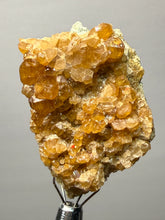 Load image into Gallery viewer, Hessonite Garnet Cluster on Matrix – Natural Collector Specimen from Pakistan | High-Grade Orange-Red Garnet Crystals
