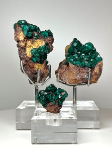 Dioptase Cluster from Congo • High Grade • Mineral Collector’s Specimen Showpiece