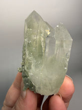 Load image into Gallery viewer, Chlorite-Included Faden Quartz Cluster (Green Phantom Quartz) | Pakistan Mineral Specimen
