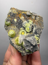 Load image into Gallery viewer, High-Grade Green Wavellite Collectors Specimen - Radiating Botryoidal Crystal Formation - Arkansas, USA
