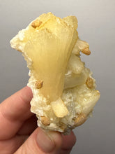 Load image into Gallery viewer, High-Grade Golden Calcite on Golden Stilbite — Maharashtra, India (Collector Cabinet Specimen)
