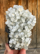 Load image into Gallery viewer, Clear Gem Apophyllite Cluster • Maharashtra, India
