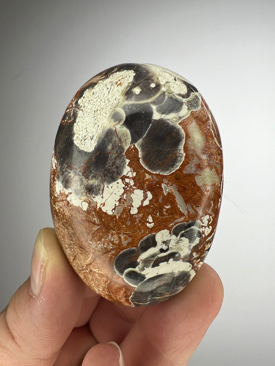 Opal + Quartz + Chalcedony Palm Stone from South Africa