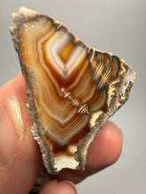 Load image into Gallery viewer, High-Grade Indonesian Sumatra Agate Pair – Vibrant Banded Chalcedony with Rich Color Zoning | Ethical Lapidary &amp; Collector Display Specimens
