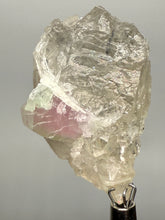 Load image into Gallery viewer, Watermelon Tourmaline on Quartz Matrix – Collector Mineral Specimen from Pakistan
