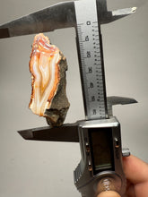 Load image into Gallery viewer, High-Grade Indonesian Sumatra Agate Pair – Vibrant Banded Chalcedony with Rich Color Zoning | Ethical Lapidary &amp; Collector Display Specimens
