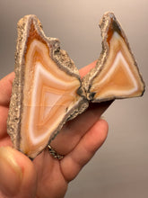Load image into Gallery viewer, High-Grade Indonesian Sumatra Agate Pair – Vibrant Banded Chalcedony with Rich Color Zoning | Ethical Lapidary &amp; Collector Display Specimens
