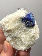 Load image into Gallery viewer, Afghanite &amp; Lazurite on Matrix Collector Display Specimen | Badakhshan Region, Afghanistan
