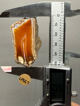 Load image into Gallery viewer, Premium Sumatra Agate (Banded Chalcedony) Display Specimen | Indonesia
