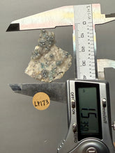 Load image into Gallery viewer, Blue-Green Chrysocolla in Botryoidal Chalcedony Cabinet Specimen | Indonesia
