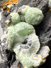 Load image into Gallery viewer, High-Grade Green Wavellite Collectors Specimen - Radiating Botryoidal Crystal Formation - Arkansas, USA
