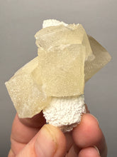 Load image into Gallery viewer, Rare Druzy Golden “Diamond” Calcite on Zeolite Matrix — Maharashtra, India | Collector Cabinet Specimen
