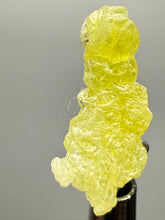 Load image into Gallery viewer, Vibrant Yellow Brucite Thumbnail Mineral Specimen | Collector Crystal from Killa Saifullah District in Balochistan Province, Pakistan
