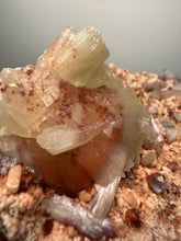 Load image into Gallery viewer, Rare Red Druzy Apophyllite with Red Stilbite Cluster | India | Collector Mineral Specimen
