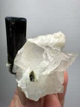 Load image into Gallery viewer, Blue Cap Dark Green Stak Nala Tourmaline and Quartz on Cleavelandite Matrix – Haramosh Mountains, Pakistan
