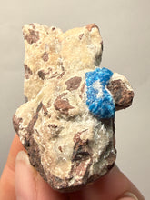 Load image into Gallery viewer, Rare Electric Blue Cavansite on Druzy Matrix – Collector Mineral Specimen | India
