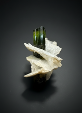 Load image into Gallery viewer, Dark Green Stak Nala Tourmaline and Cleavelandite – Haramosh Mountains, Pakistan | Thumbnail Specimen
