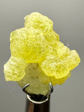 Load image into Gallery viewer, Vibrant Yellow Brucite Thumbnail Mineral Specimen | Collector Crystal from Killa Saifullah District in Balochistan Province, Pakistan
