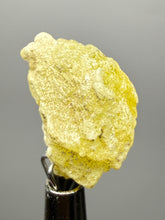 Load image into Gallery viewer, Vibrant Yellow Brucite Thumbnail Mineral Specimen | Collector Crystal from Killa Saifullah District in Balochistan Province, Pakistan
