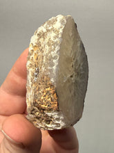 Load image into Gallery viewer, Natural Laguna Agate Collector Mineral Specimen | Chihuahua, Mexico
