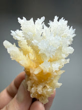 Load image into Gallery viewer, High-Grade Coral Aragonite Crystal Specimen – Wenshan Mine, Yunnan, China
