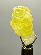 Load image into Gallery viewer, Vibrant Yellow Brucite Thumbnail Mineral Specimen | Collector Crystal from Killa Saifullah District in Balochistan Province, Pakistan
