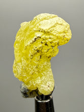 Load image into Gallery viewer, Vibrant Yellow Brucite Thumbnail Mineral Specimen | Collector Crystal from Killa Saifullah District in Balochistan Province, Pakistan
